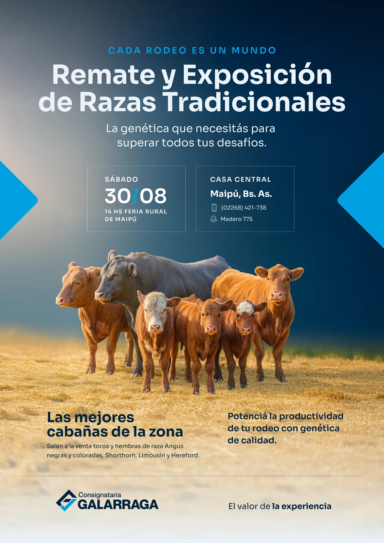 Afiche de convocatoria a un remate