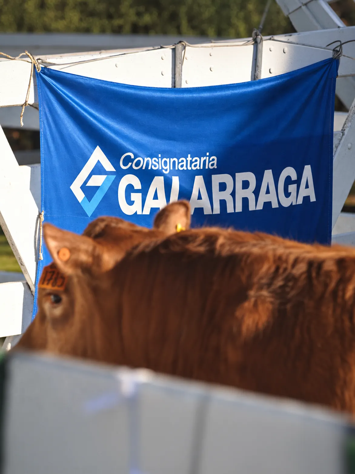 Bandera de la marca en el corral