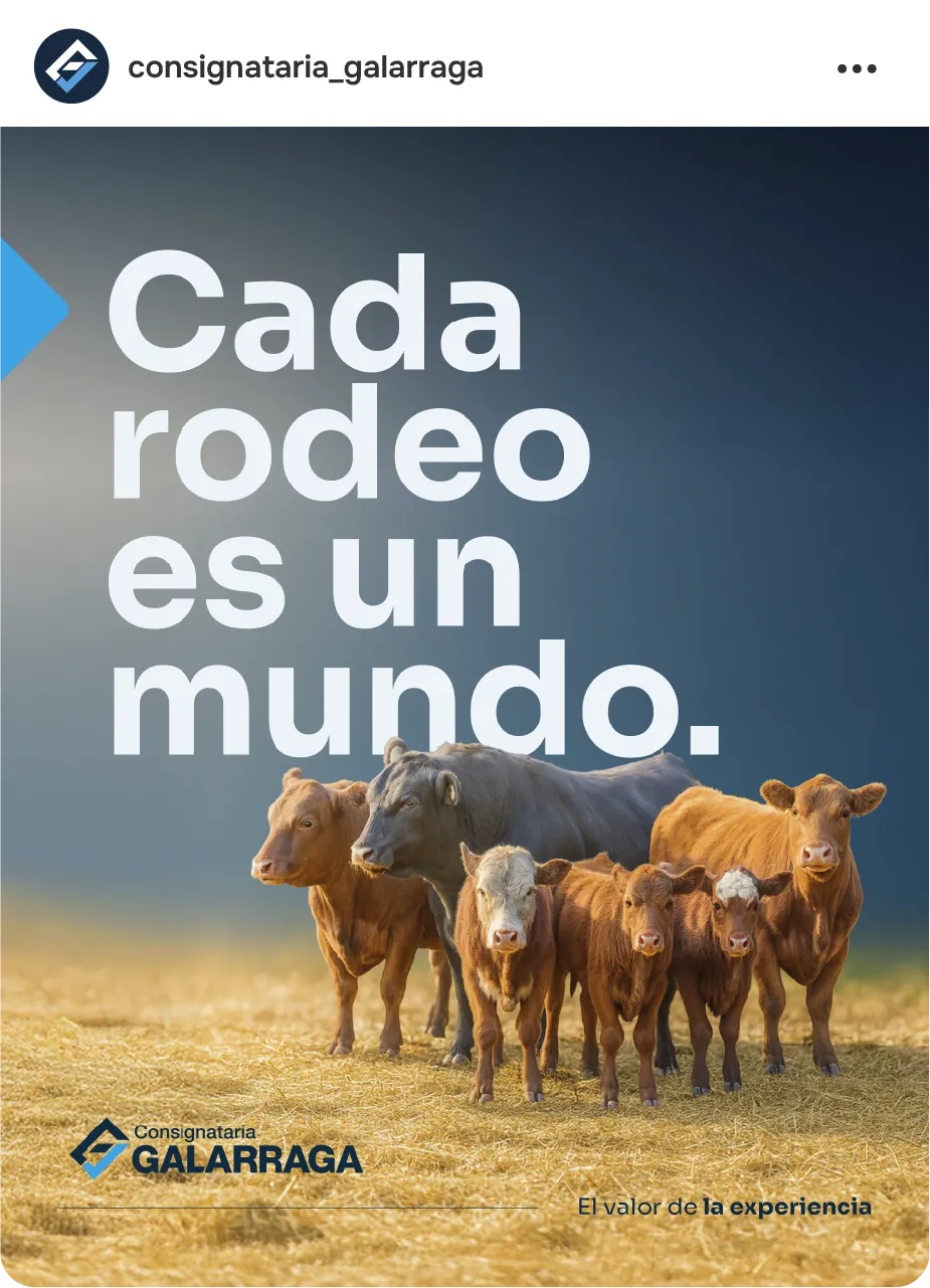 Posteo de campaña institucional