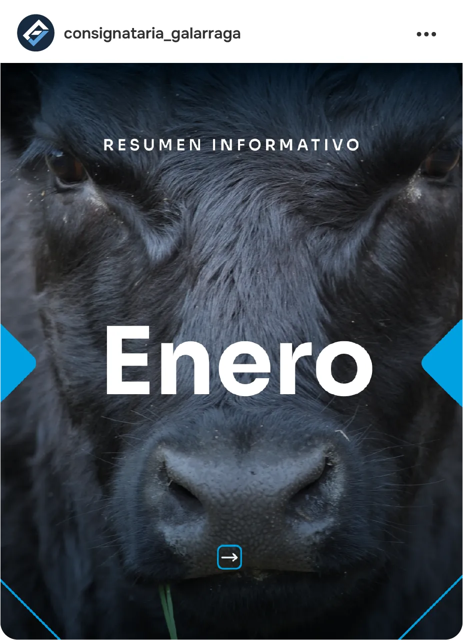 Posteo del resumen informativo mensual