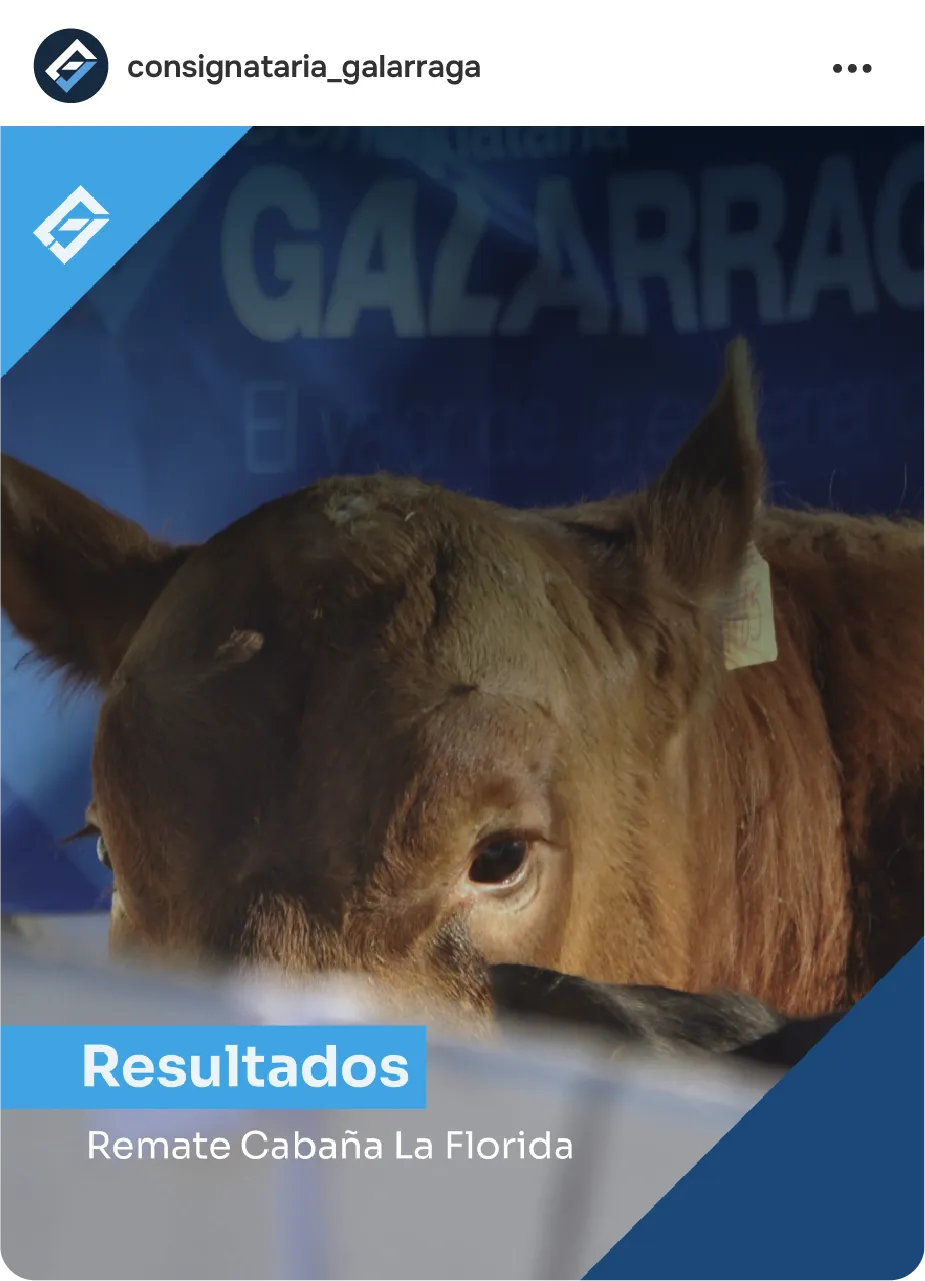 Posteo con los resultados de un remate