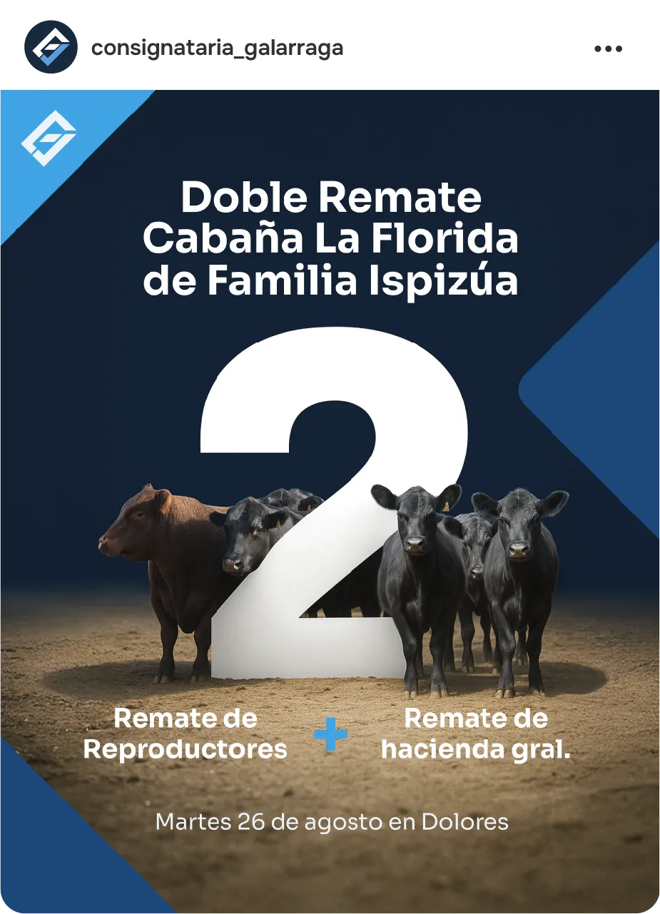 Posteo de convocatoria a un remate