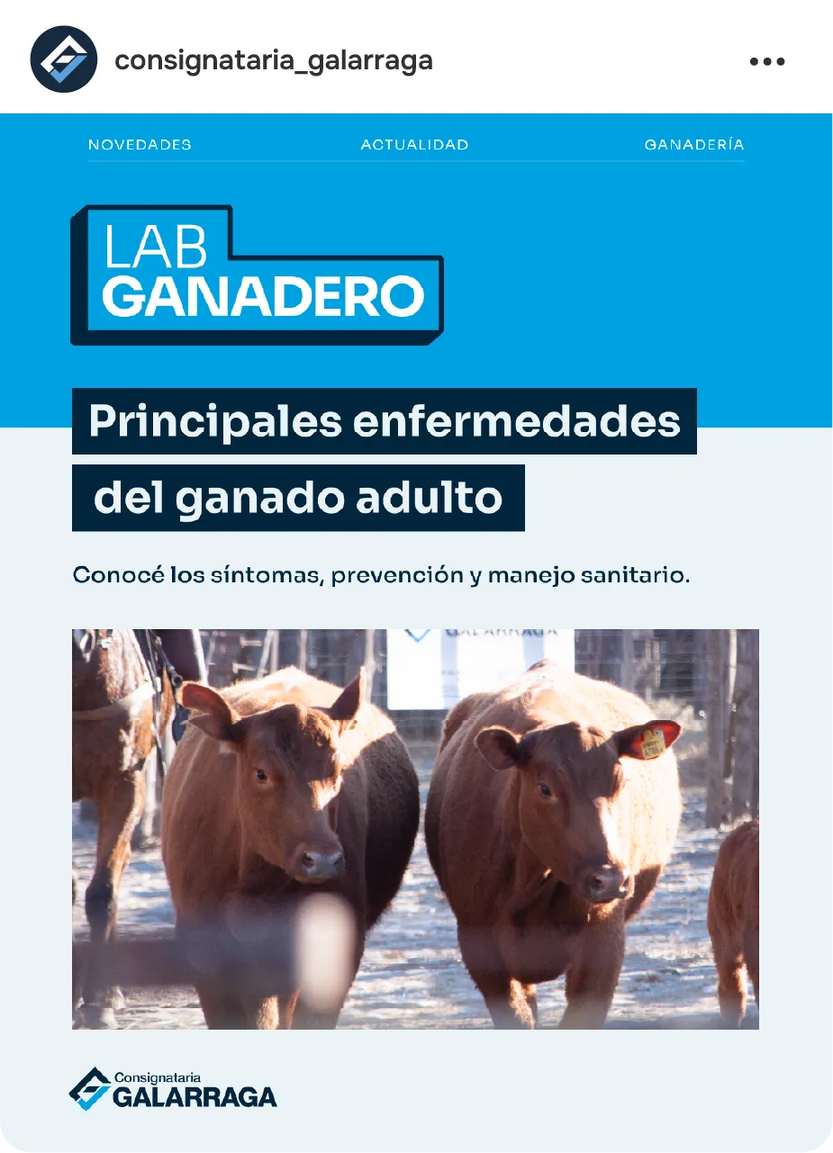 Posteo de divulgación sanitaria