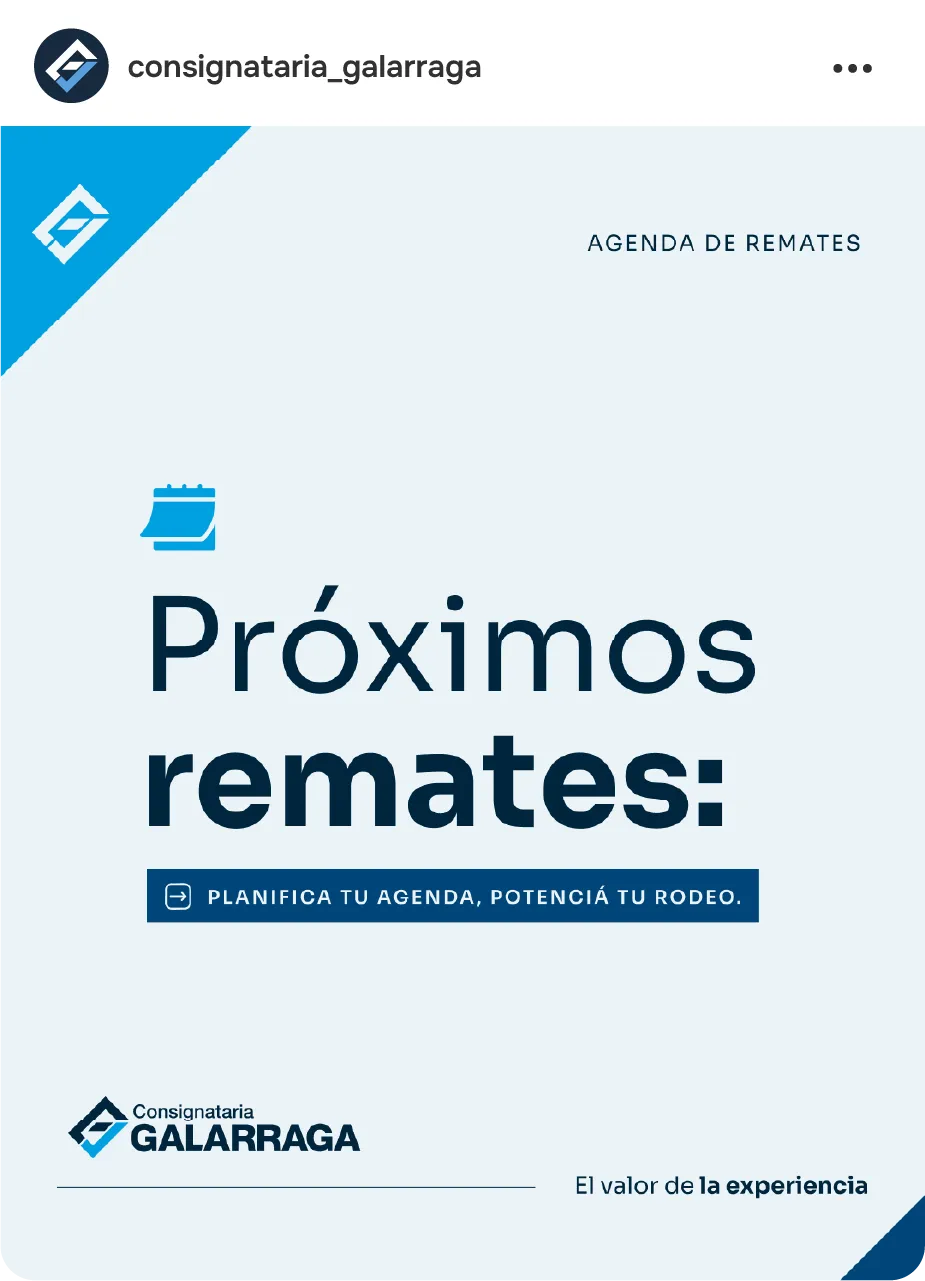 Posteo con la agenda de próximos remates