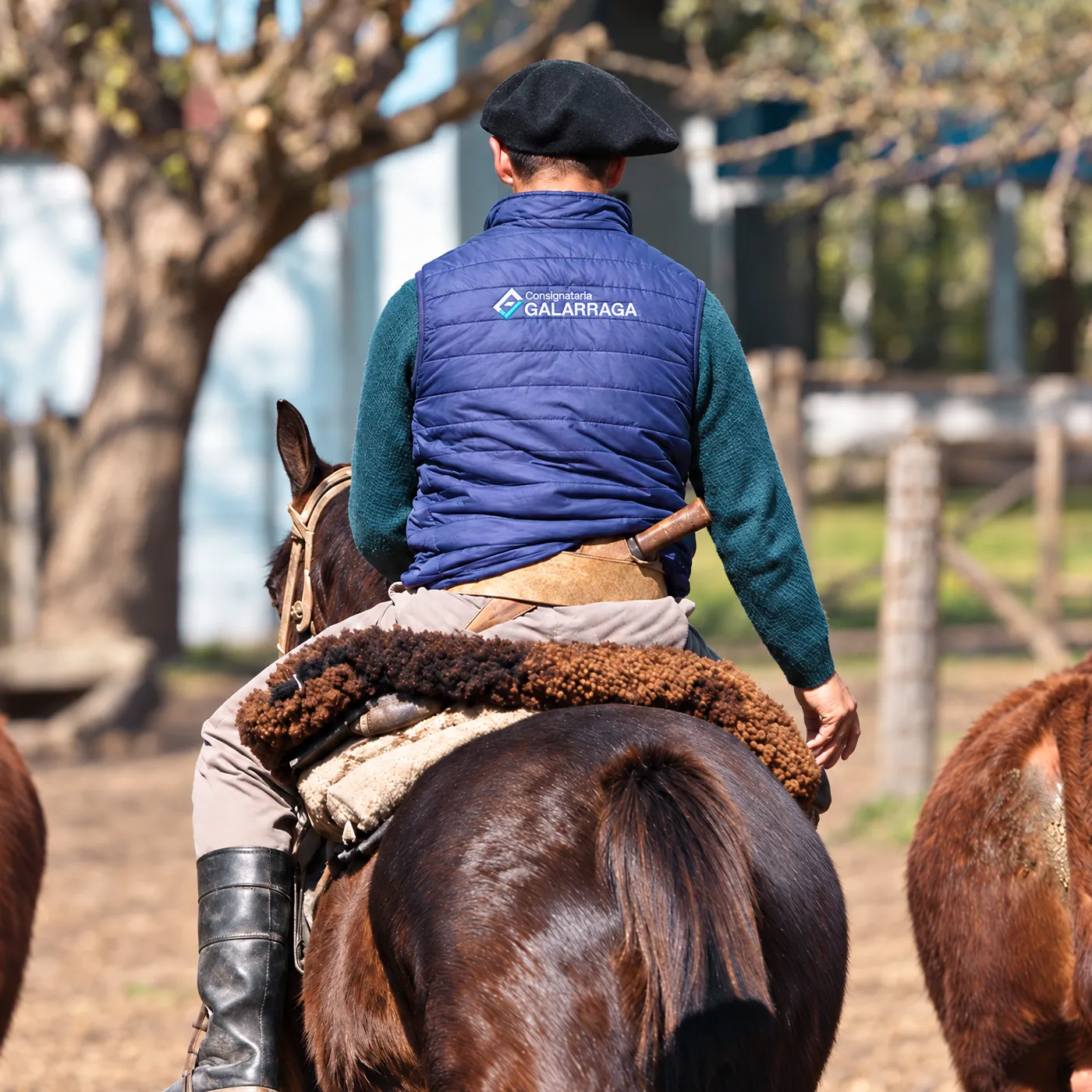 Operador de Galarraga a caballo en el corral, con el chaleco de la marca