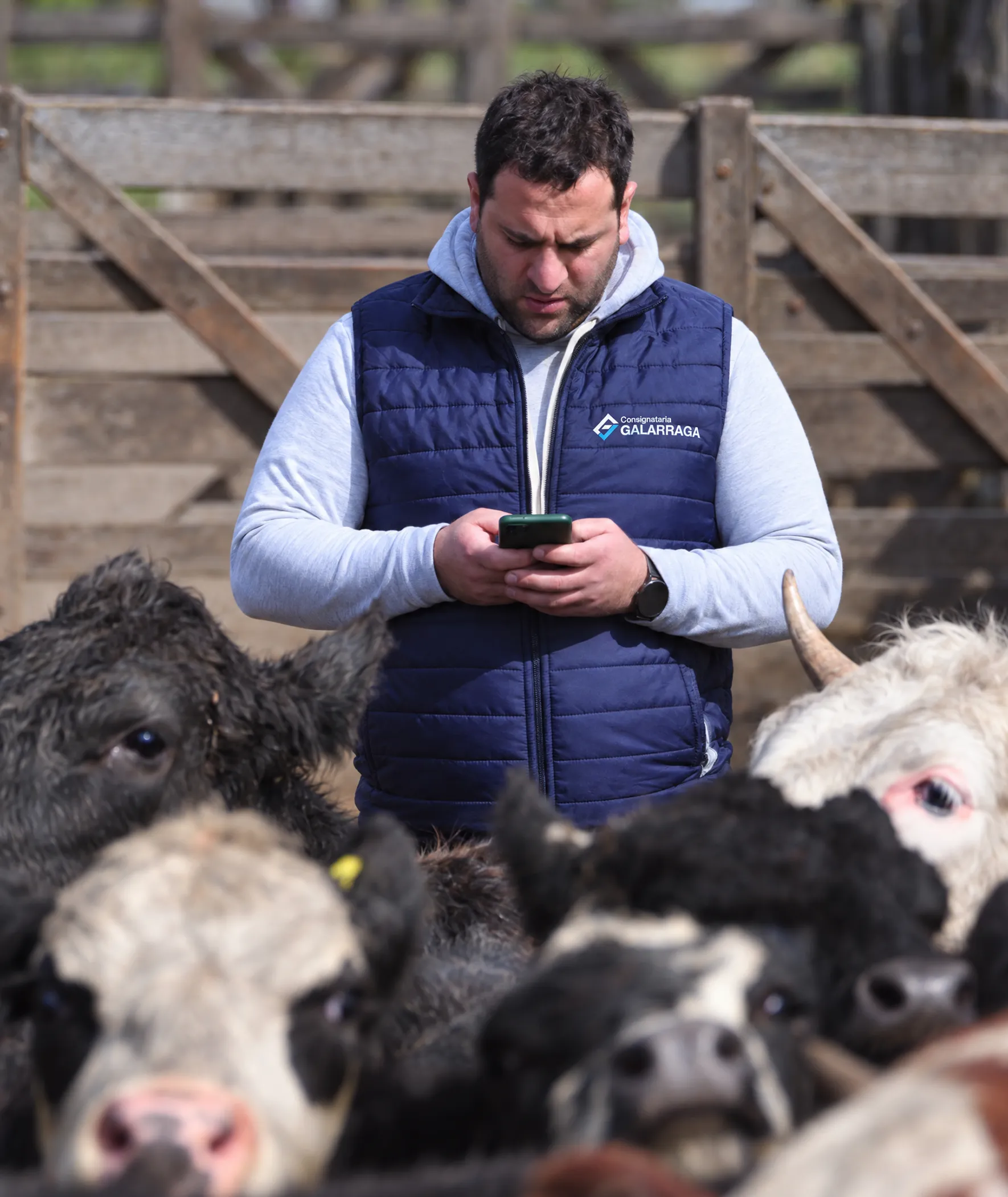 Operador de Galarraga en el corral