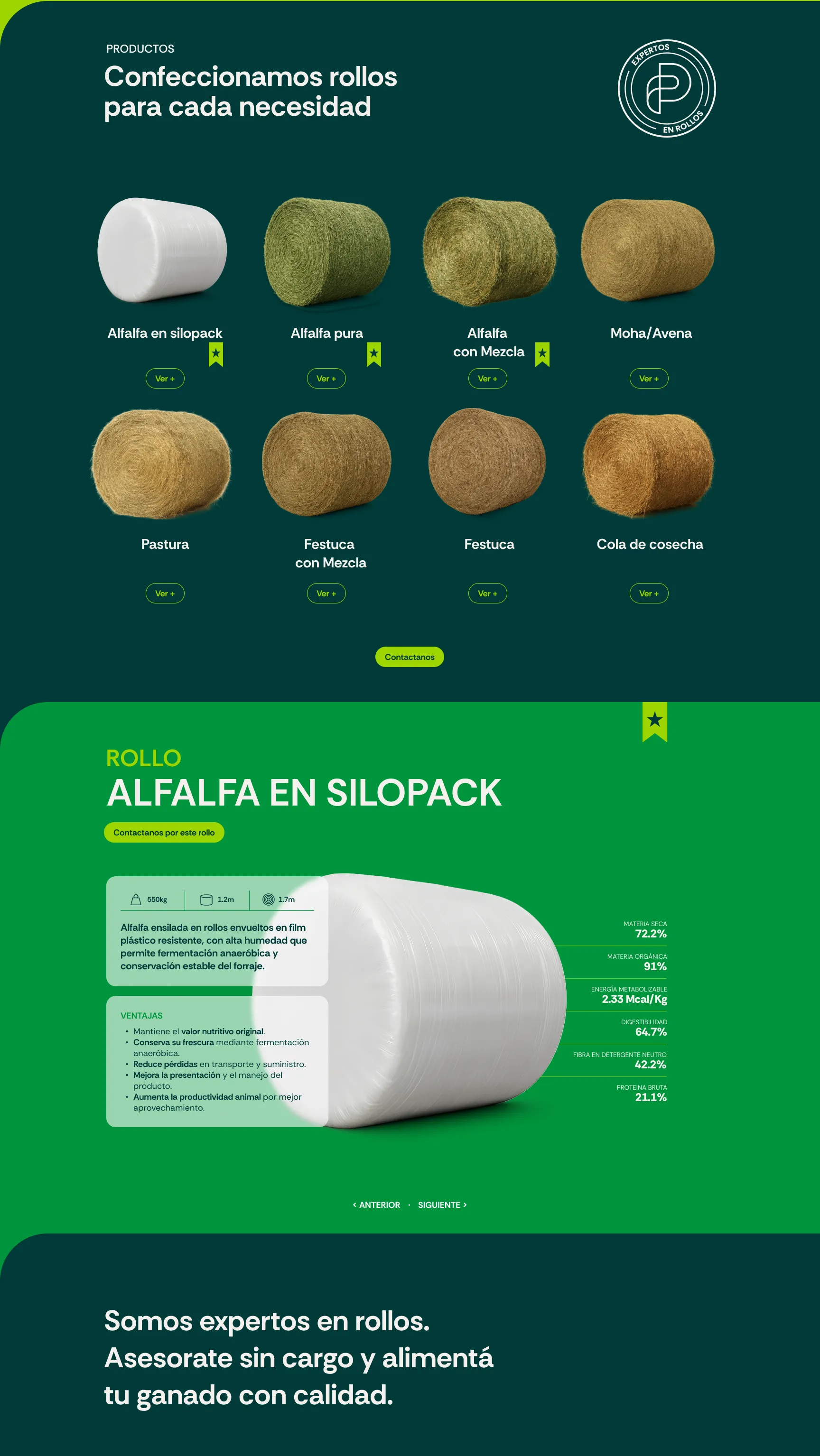La web de Parisi en el celular