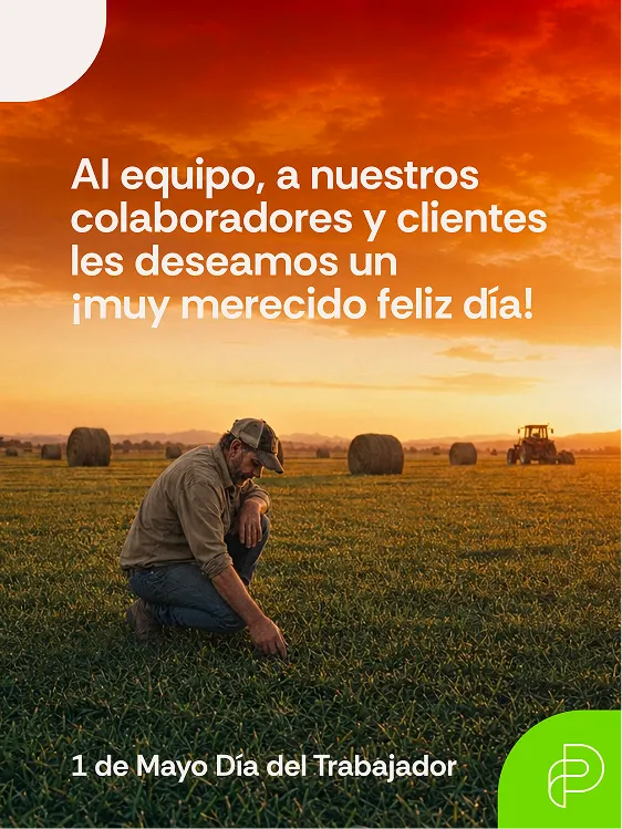 Pieza de campaña de Parisi