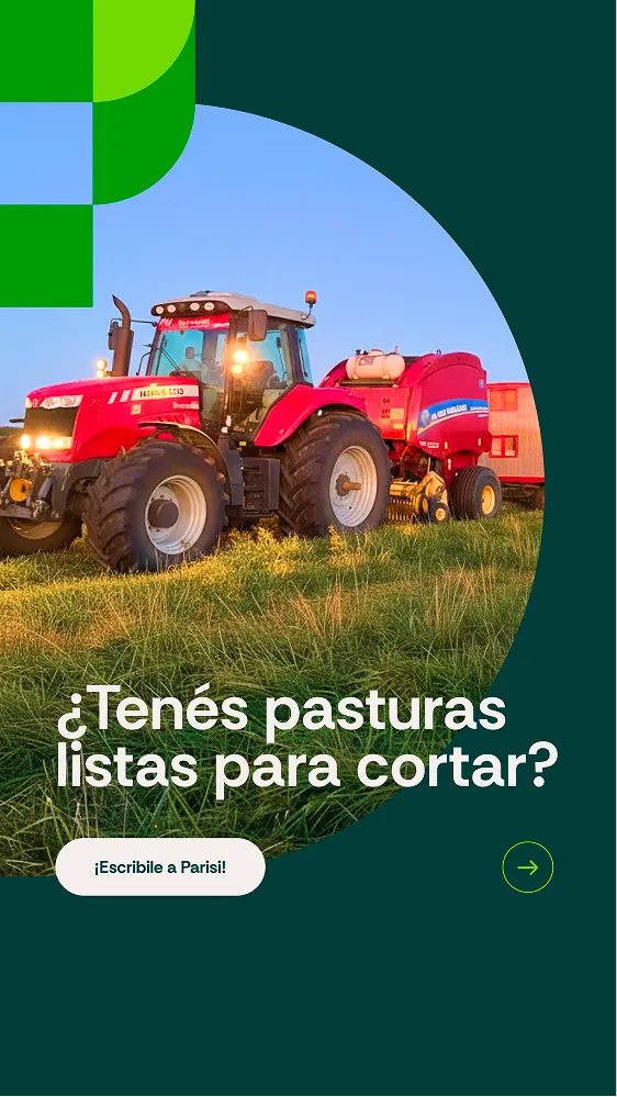 Pieza de campaña de Parisi