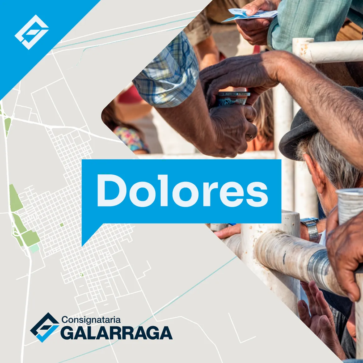 Pieza de campaña: representante en Dolores