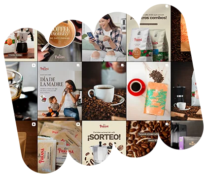 Trópico · Marcas que crecen