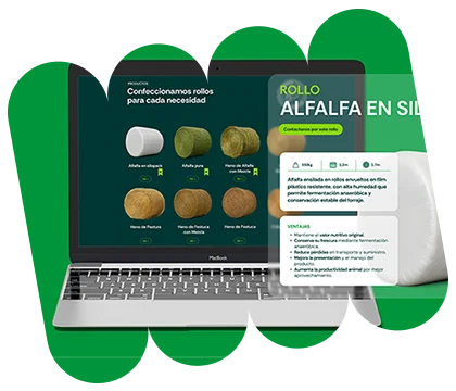 Trópico · Marcas que crecen