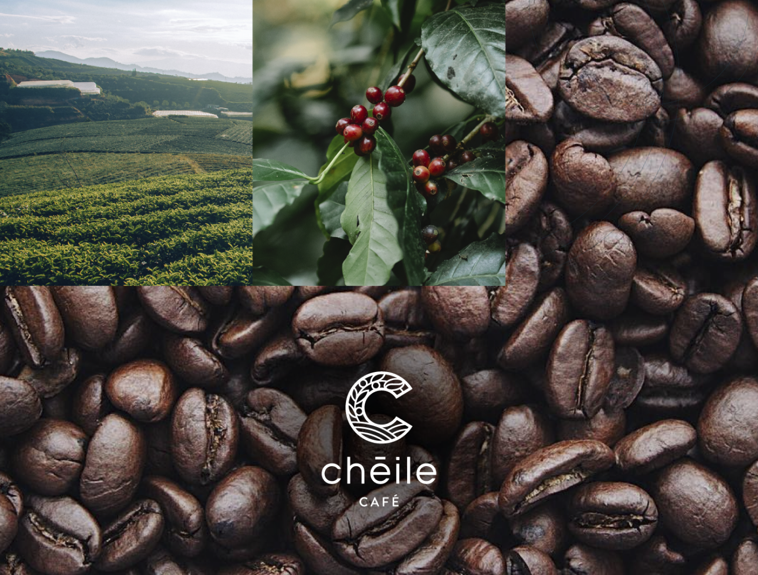 Cheile Café